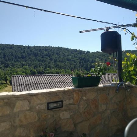 Milica App Skradinsko Polje 24 Ξενοδοχείο Εξωτερικό φωτογραφία